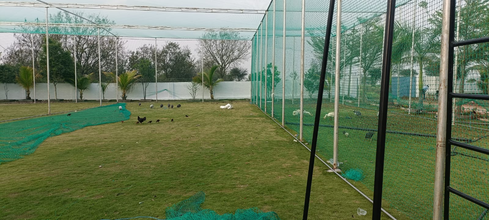 Safety Nets in Hyderabad